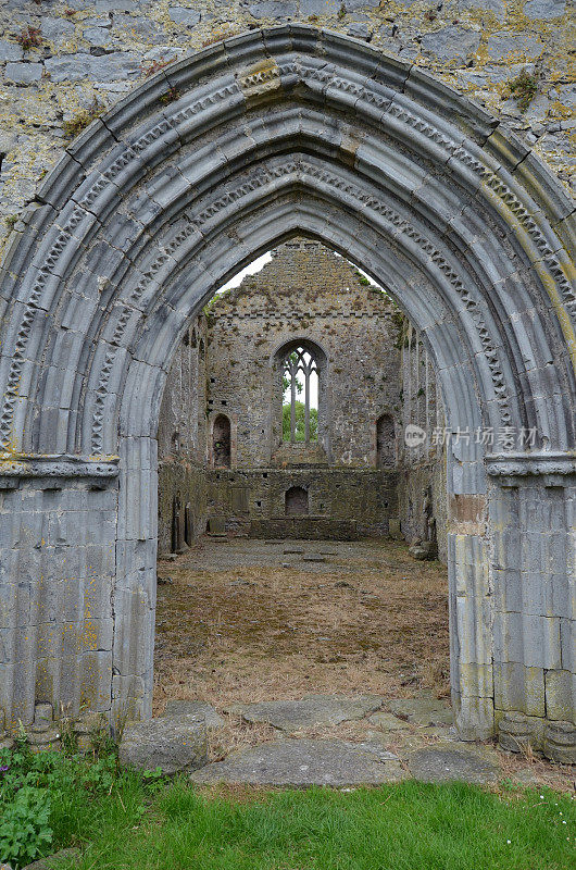 Athassel Priory中世纪遗迹Co Tipperary爱尔兰拱门细节